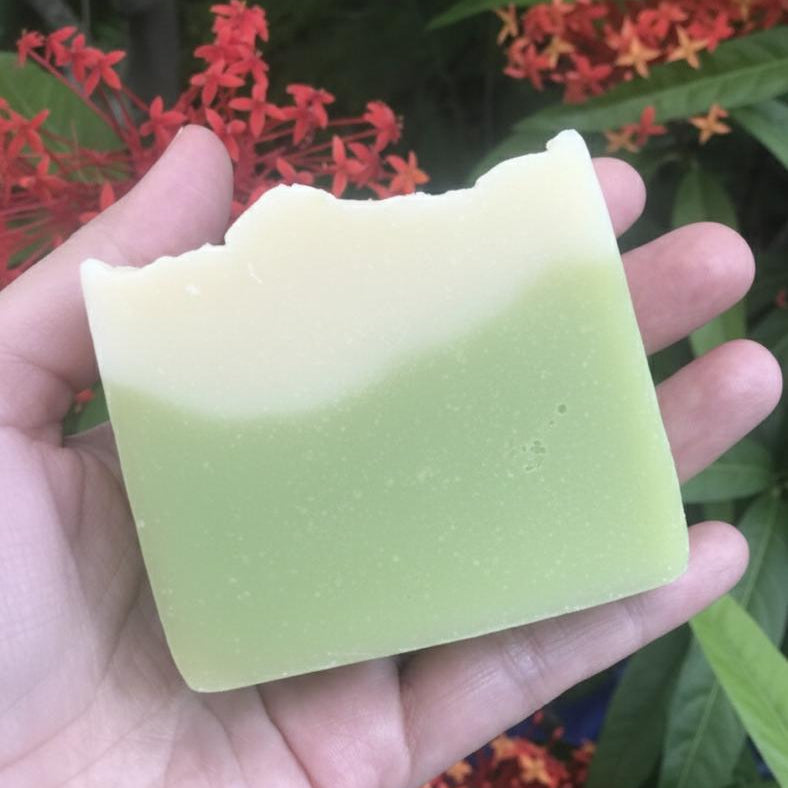 Coconut Milk & Pandan - KiAura All Natural Soap Collection