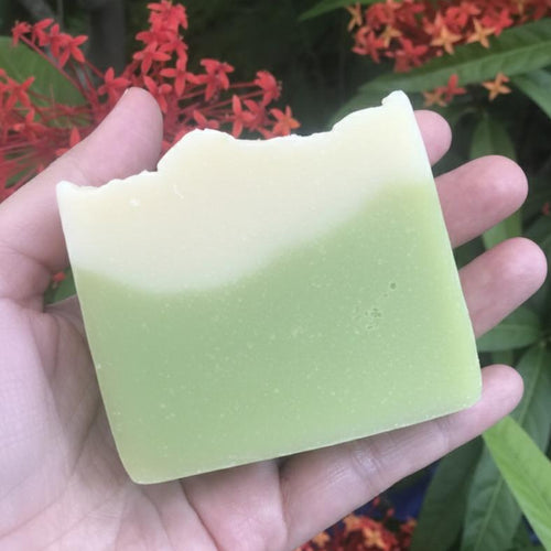 Coconut Milk & Pandan - KiAura All Natural Soap Collection