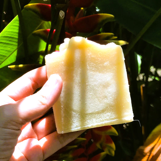Coconut Milk & Pandan - KiAura All Natural Soap Collection